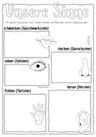 Vorschau - Arbeitsblätter - Unsere 5 Sinne - Arbeitsblätter und Tafelmaterial / Wahrnehmung - Seite 3