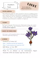 Vorschau - Präsentationen/Tafelbilder - Frühblüher - Tafelplakat / Poster - Ergänzung - Seite 1