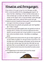 Vorschau - Bildkarten - Textil: Erstes Nähen Projekt Filzmaus inkl. interaktiver PDF - Seite 3