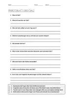 Vorschau - Arbeitsblätter - AB mit Fragen zum Thema "Salz" + Lösungsblatt + Mindmap + Infografik - Deckblatt
