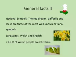 Vorschau - Arbeitsblätter - Find out about Wales - Fact Cards + Vocabularies + Tasks - Seite 3