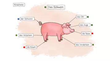 Vorschau - Arbeitsblätter - Lerntheke zum Thema "Bauernhof" -das Schwein" - Seite 3
