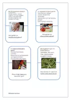 Vorschau - Arbeitsblätter - Lesespiel Hygiene PDF - Seite 1