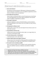 Vorschau - Arbeitsblätter - AB mit Fragen zum Thema "Schleusen" + Lösungsblatt + Infografik - Seite 2
