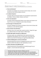 Vorschau - Arbeitsblätter - AB mit Fragen zum Thema "Schnecken" + Lösungsblatt + Mindmap + Infografik - Seite 2