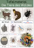 Vorschau - Präsentationen/Tafelbilder - Waldtiere - Tafelmaterial mit DAZ- Variante und Silbenschrift - Deckblatt
