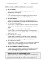 Vorschau - Arbeitsblätter - Lernposter + AB mit Fragen zum Thema "Schweine" + Lösungsblatt + Infografik - Seite 3