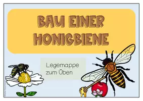 Vorschau - Spiele - Klettmappe zur Honigbiene - Seite 3