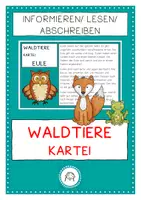 Vorschau - Arbeitsblätter - Tiere des Waldes. Wissenskartei zum Lesen & Abschreiben & Informieren - Deckblatt