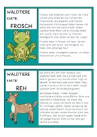 Vorschau - Arbeitsblätter - Tiere des Waldes. Wissenskartei zum Lesen & Abschreiben & Informieren - Seite 2