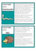 Vorschau - Arbeitsblätter - Tiere des Waldes. Wissenskartei zum Lesen & Abschreiben & Informieren - Seite 3