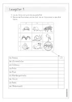 Vorschau - Arbeitsblätter - Tiere der Wiese, Lesegitter, Klasse 1,2 - Seite 2