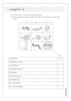 Vorschau - Arbeitsblätter - Tiere der Wiese, Lesegitter, Klasse 1,2 - Seite 3