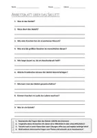 Vorschau - Arbeitsblätter - Lernposter + AB mit Fragen zum Thema "Skelett" + Lösungsblatt + Mindmap + Infografik - Seite 1