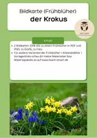 Vorschau - Präsentationen/Tafelbilder - Bildkarte der Krokus Frühblüher - Deckblatt