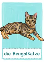 Vorschau - Stationenlernen - Bildkarten Flashcards "Haustiere" (auch zum selbst beschriften!) - Seite 2