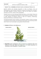 Vorschau - Stundenentwürfe - Materialpaket - Ökosystem Wald - Seite 2