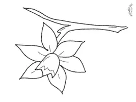 Vorschau - Arbeitsblätter - SPARPAKET „FRÜHLING & FRÜHBLÜHER“ (wachsend) - Seite 3