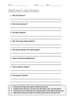 Vorschau - Arbeitsblätter - AB mit Fragen zum Thema "Spinnen" + Lösungsblatt + Infografik - Deckblatt