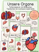 Vorschau - Bildkarten - Innere Organe: Bildkarten (Kl. 3/4) - Deckblatt