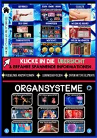 Vorschau - Unterrichtsreihen - Der Mensch Interaktive PowerPoint - Sofort einsetzbar - DIGITAL & ANALOG Fesselnde Animationen & Elemente - Seite 1