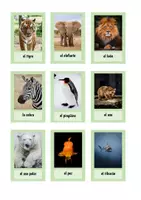 Vorschau - Bildkarten - Los animales - Bildkarten - Deckblatt