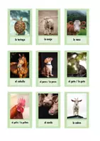 Vorschau - Bildkarten - Los animales - Bildkarten - Seite 1
