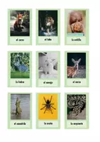Vorschau - Bildkarten - Los animales - Bildkarten - Seite 2