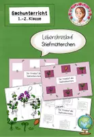 Vorschau - Arbeitsblätter - Stiefmütterchen Lebenskreislauf | Frühblüher Sachunterricht Klasse 1-2 - Deckblatt