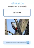 Vorschau - Arbeitsblätter - Materialpaket - Alle Inhalte! - Biologie 5. & 6. Klasse - Seite 1