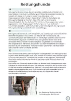 Vorschau - Arbeitsblätter - Sachtext Rettungshunde mit Aufgaben zum Leseverständnis - Seite 2