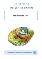 Vorschau - Arbeitsblätter - Mikroskope, tierische und pflanzliche Zellen - Deckblatt