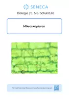 Vorschau - Arbeitsblätter - Das Mikroskop - Biologie 5. & 6. Klasse - Deckblatt