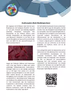 Vorschau - Arbeitsblätter - Gruppenpuzzle - Zusammensetzung des Blutes - Deckblatt