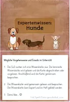Vorschau - Stationenlernen - Hunde Wissenskartei | Haustiere Sachunterricht Grundschule - Seite 3