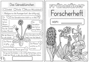 Vorschau - Unterrichtsreihen - Frühblüher - Wissenskartei und Forscherheft - Seite 2