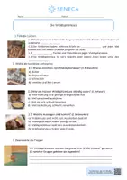 Vorschau - Arbeitsblätter - Die Waldspitzmaus - KOSTENLOS - Biologie 5. & 6. Klasse - Seite 1