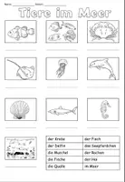 Aperçu - Feuilles d'exercices - Liste de mots en allemand "Tiere im Meer" - Page 2