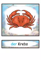 Aperçu - Matériel pour travaux manuels / dessin - Cartes illustrées Cartes de mots en allemand "Tiere im Meer" - Page 3