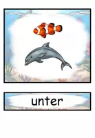 Vorschau - Präsentationen/Tafelbilder - Präpositionen "Wo ist der Delfin?" Bildkarten Wortkarten - Tiere im Meer - DaZ / DaF / Deutsch - Seite 1