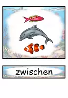 Vorschau - Präsentationen/Tafelbilder - Präpositionen "Wo ist der Delfin?" Bildkarten Wortkarten - Tiere im Meer - DaZ / DaF / Deutsch - Seite 3
