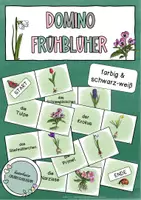 Vorschau - Spiele - Domino ~ Frühblüher (farbig / schwarzweiß) - Deckblatt