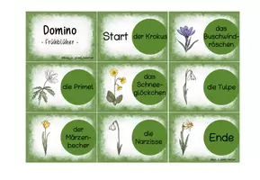 Vorschau - Stationenlernen - Domino zum Thema Frühblüher (Sachunterricht) - Seite 3