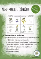 Vorschau - Mal- und Bastelvorlagen - Materialpaket Frühblüher im Sachunterricht - Seite 1