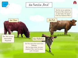 Vorschau - Arbeitsblätter - Das Hausrind - interaktive PDF mit Forscherheft - Seite 3