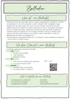 Vorschau - Unterrichtsreihen - Balladen - Mein Balladenheft für Klasse 7-8 - Seite 2