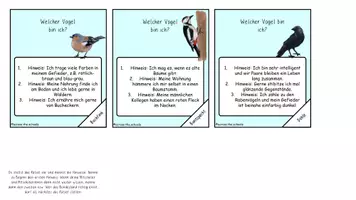 Vorschau - Spiele - Unsere heimischen Vögel: Wer bin ich? - Spiel - Seite 2