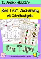 Vorschau - Arbeitsblätter - Bild-Text-Zuordnung Tulpe (mit Schreibaufgabe) - Deckblatt