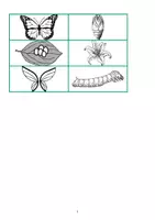 Vorschau - Fördermaterial/Inklusion - Schmetterling Grundwortschatz - Bildkarten - Seite 2