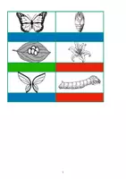 Vorschau - Fördermaterial/Inklusion - Schmetterling Grundwortschatz - Bildkarten - Seite 3